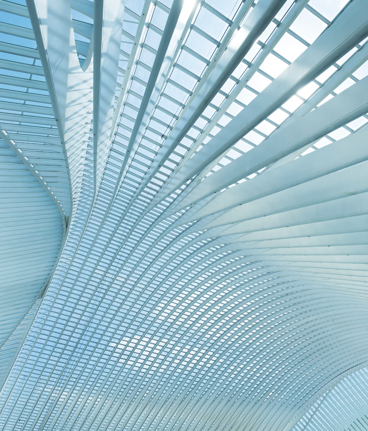 View looking up at a curved glass ceiling with white beams